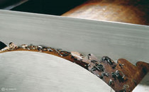 白城带锯床线速度设定过高，为什么会导致带锯条齿尖发热加速锯条的磨损？